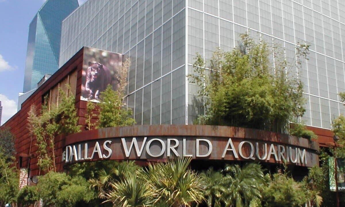 Photo of Outdoor in West Dallas