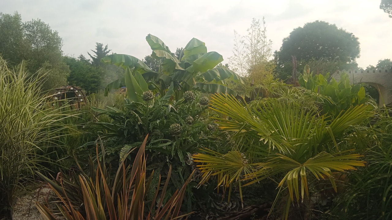 Photo of Outdoor in Saint-Germain-de-Princay