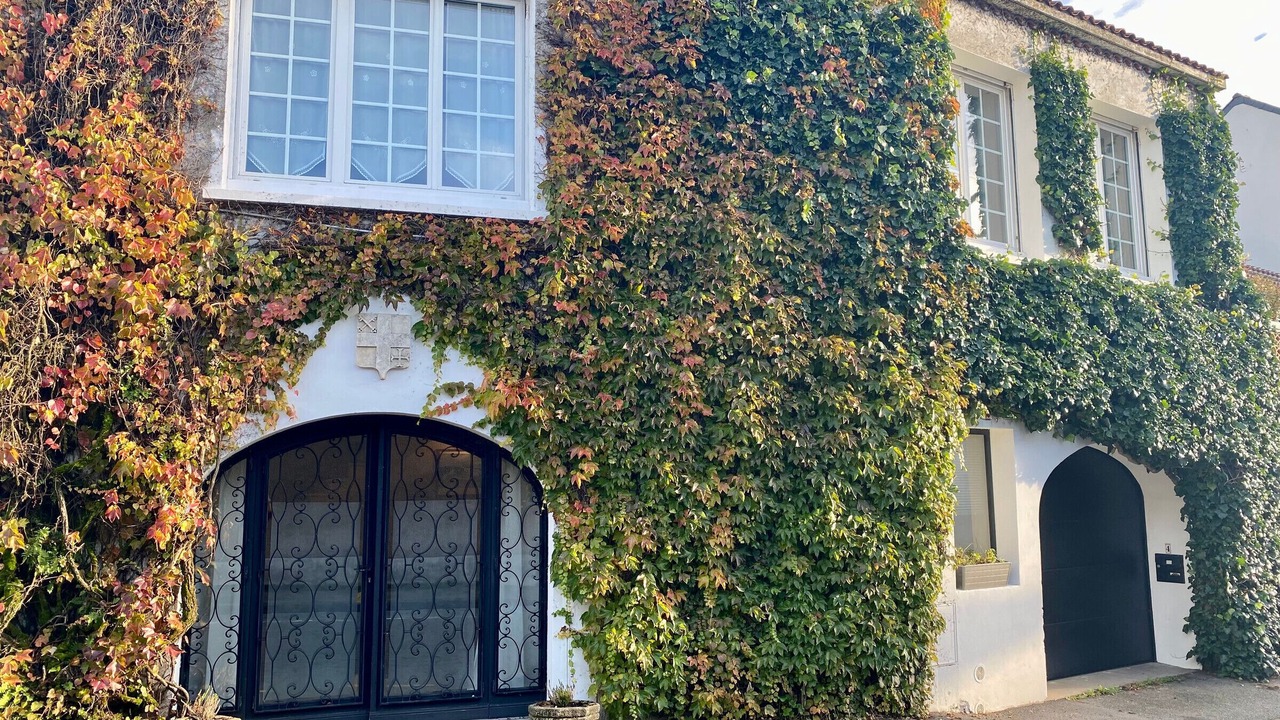 Photo of Outdoor in Saint-Pere-en-Retz