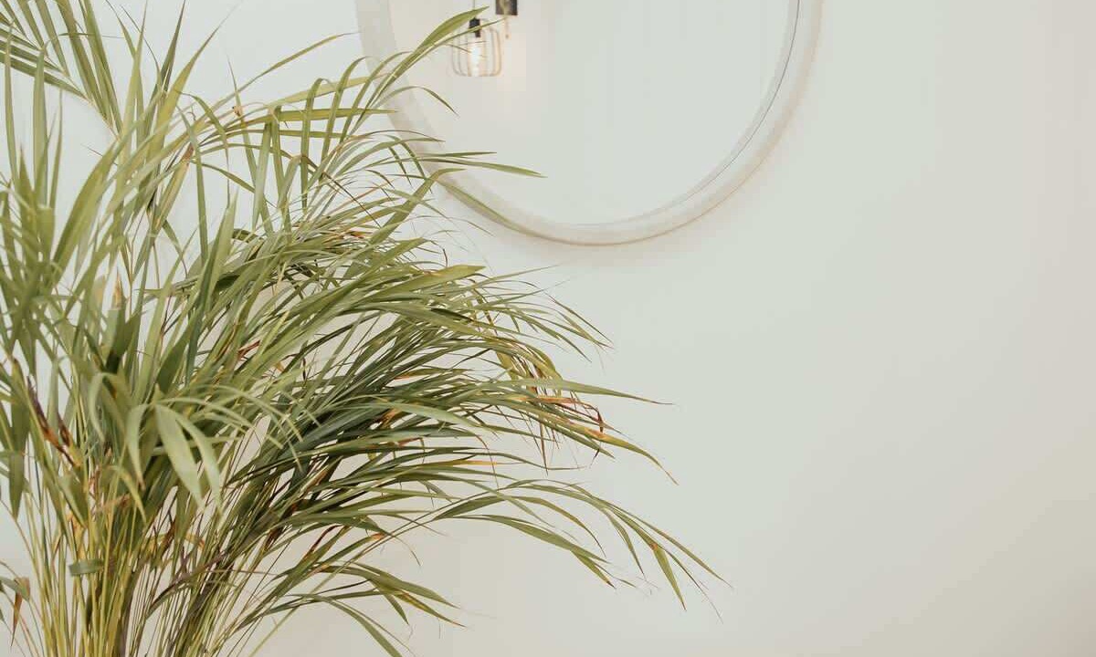 Photo of Others in Carlos Pacheco 4