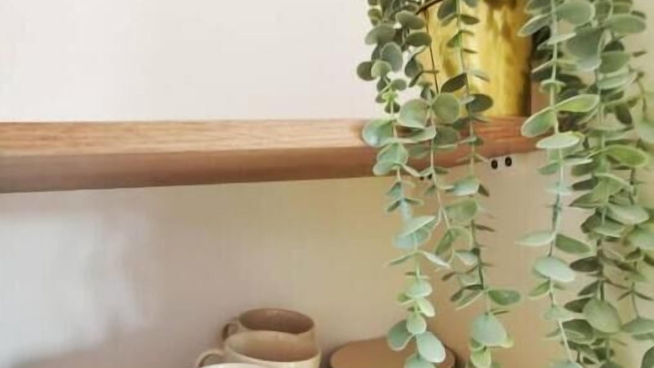 Photo of Others in Loison-sous-Lens