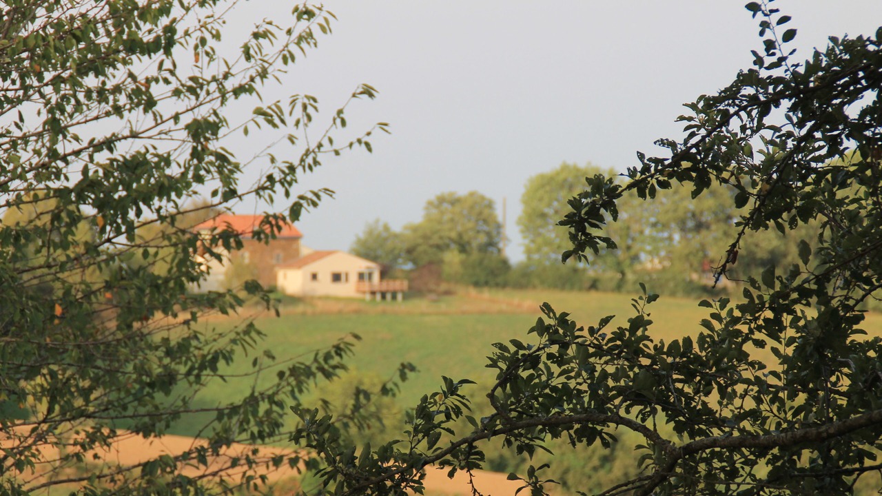 Photo of Outdoor in Saint-Cirgue