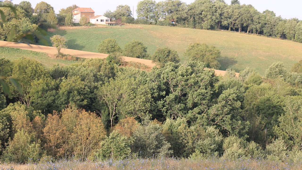 Photo of Outdoor in Saint-Cirgue