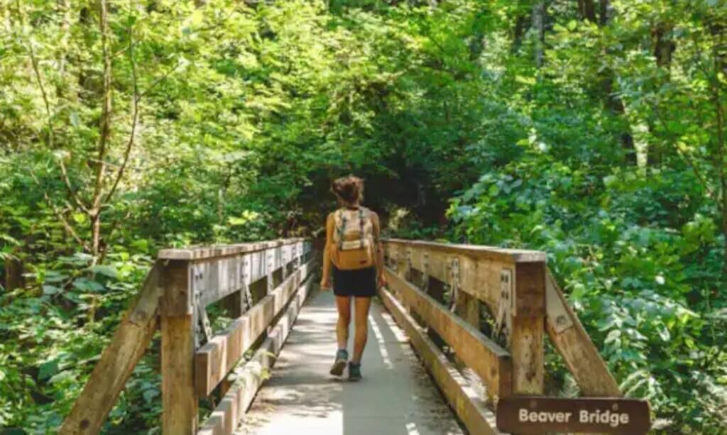 Photo of Outdoor in Jennings Lodge