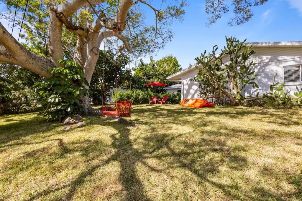 Photo of Outdoor in Tropic