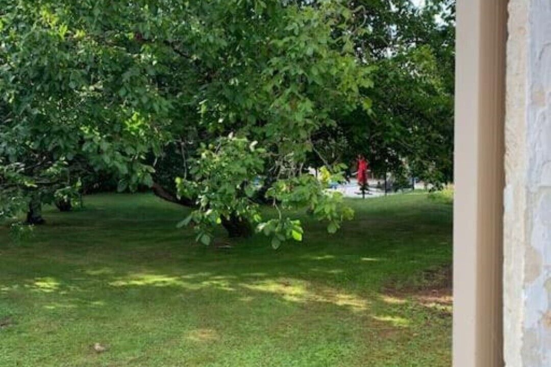 Photo of Others in Puyreaux