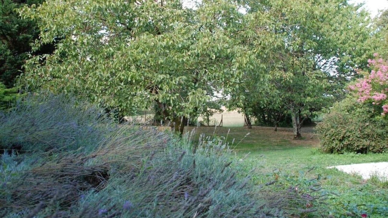 Photo of Outdoor in Puyreaux