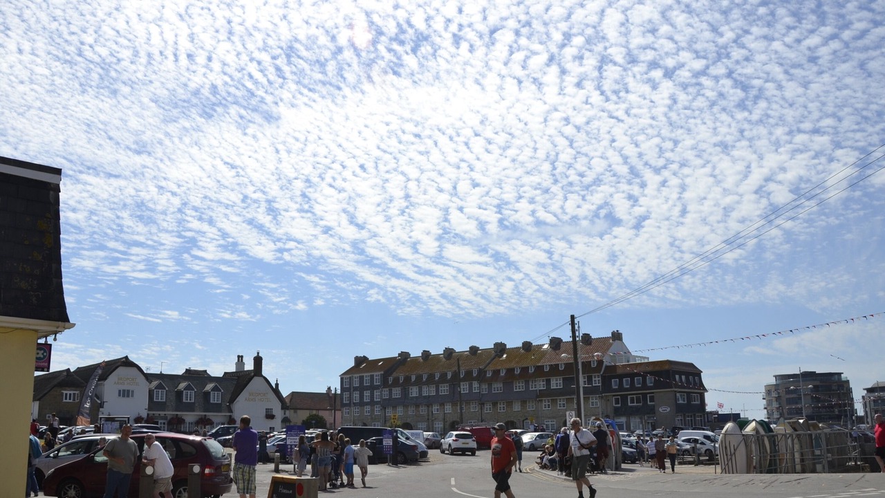 Photo of Others in West Bay