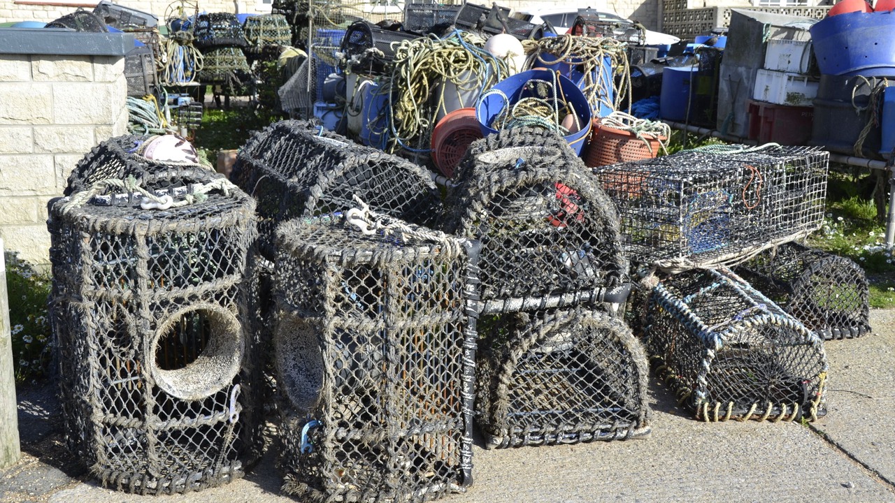 Photo of Others in West Bay