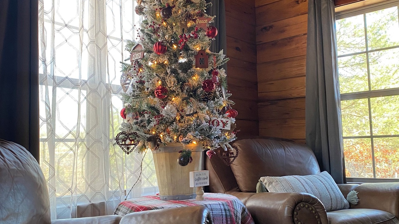 Photo of Livingroom in Tishomingo