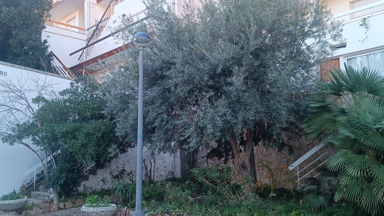 Photo of Outdoor in Salionc