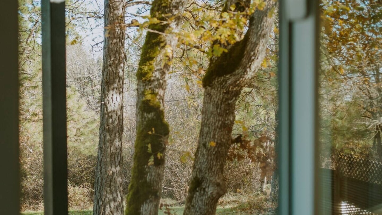 Photo of Others in Central Point