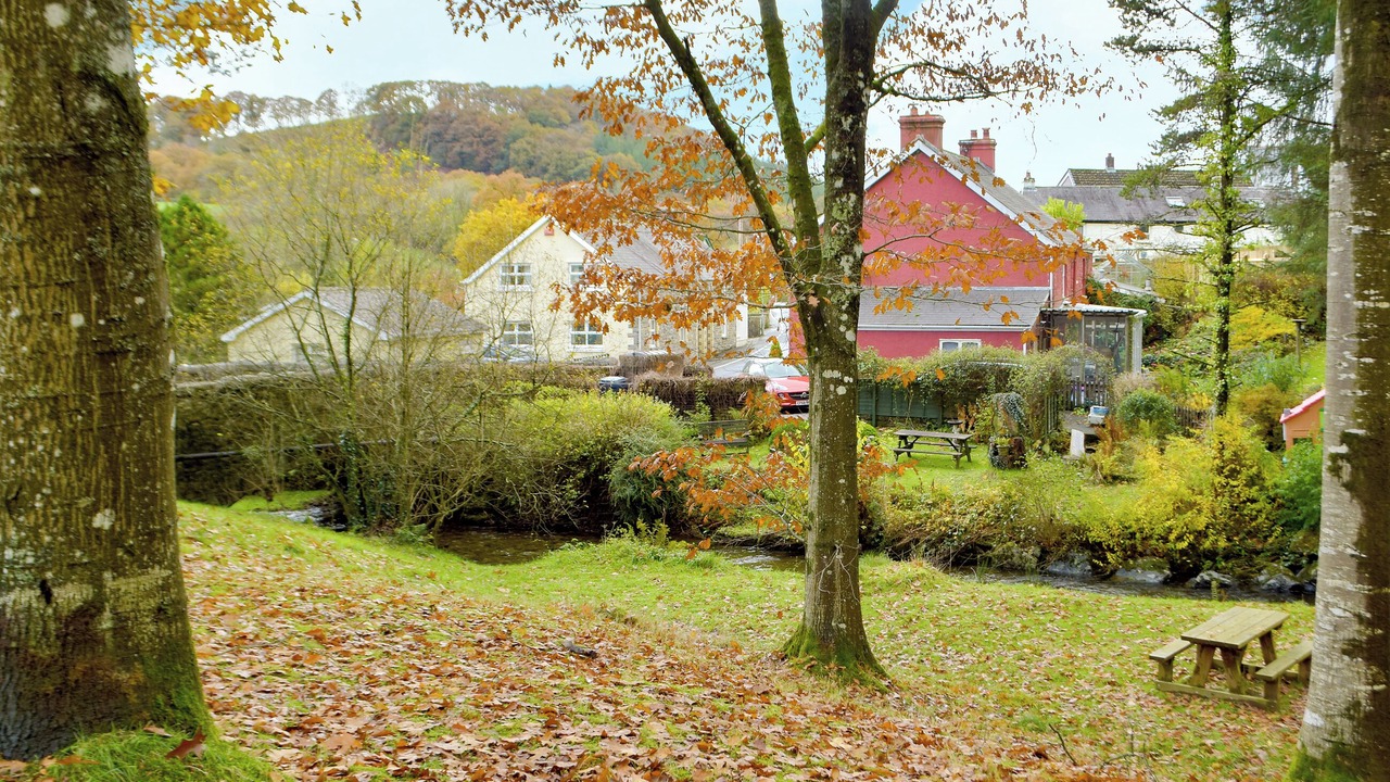 Photo of Others in Pentrefelin