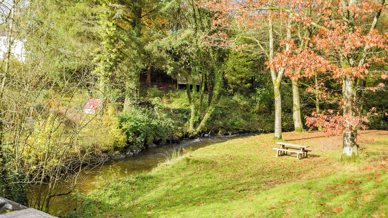 Photo of Others in Pentrefelin