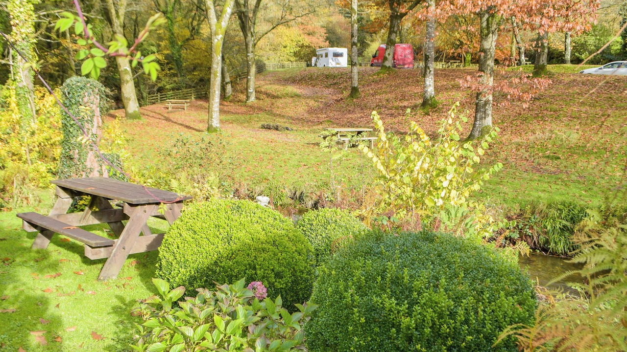 Photo of Others in Pentrefelin