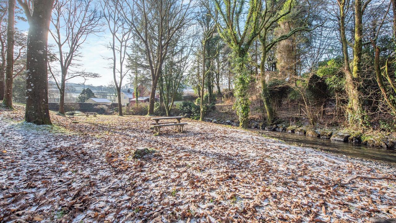 Photo of Others in Pentrefelin