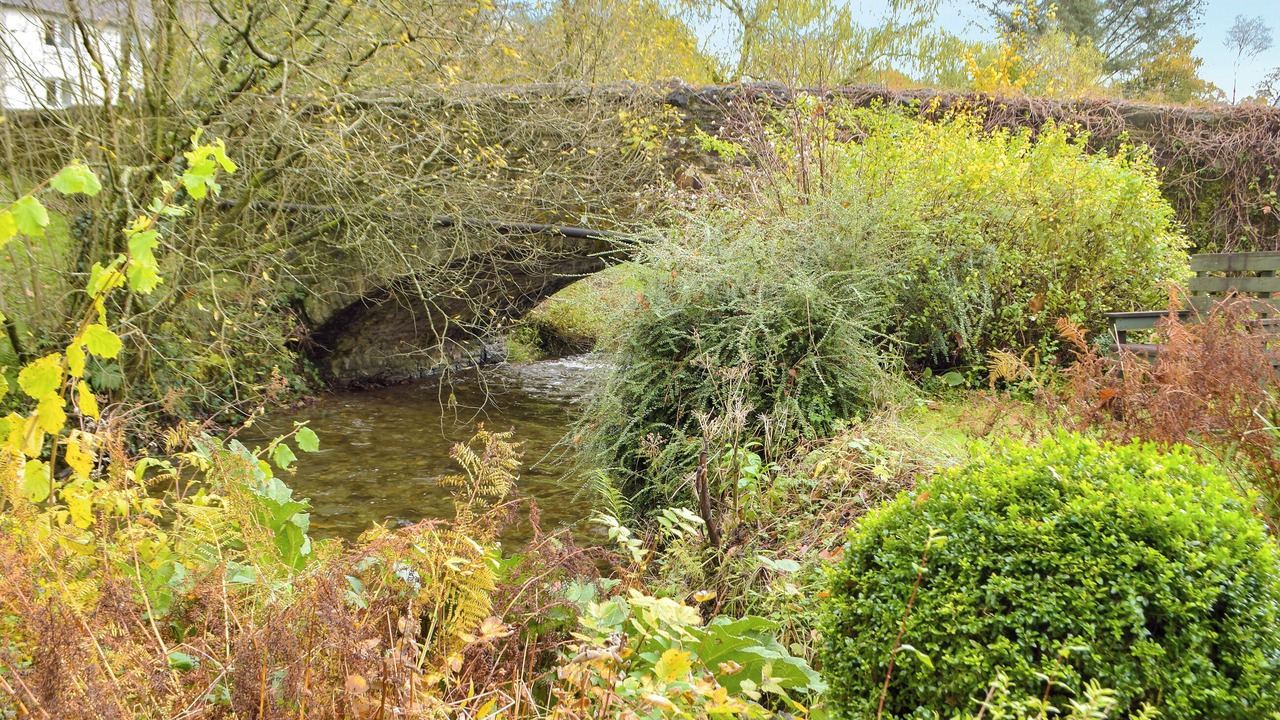 Photo of Others in Pentrefelin