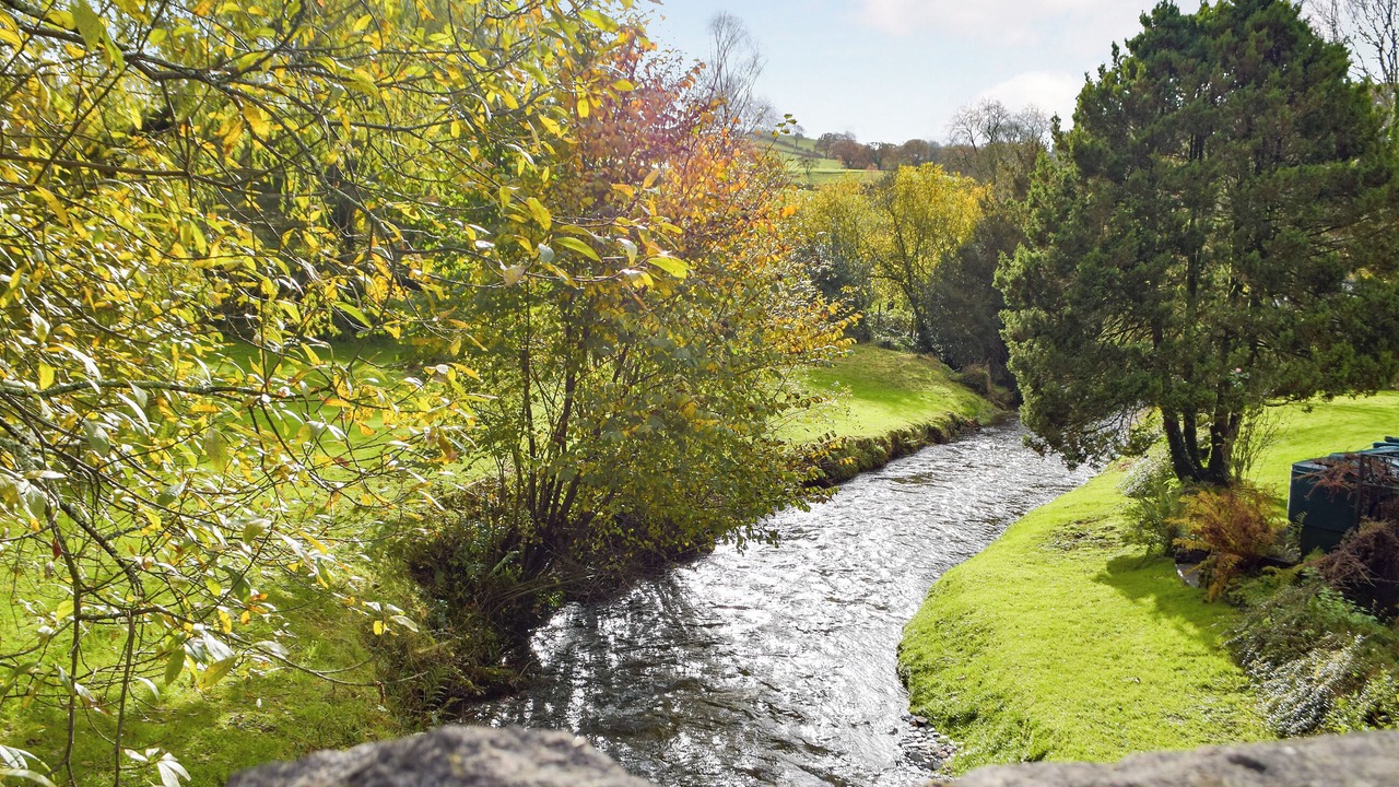 Photo of Others in Pentrefelin