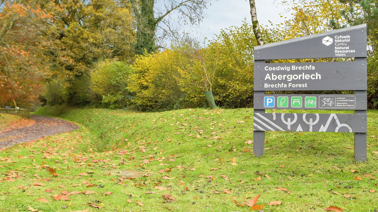 Photo of Others in Pentrefelin