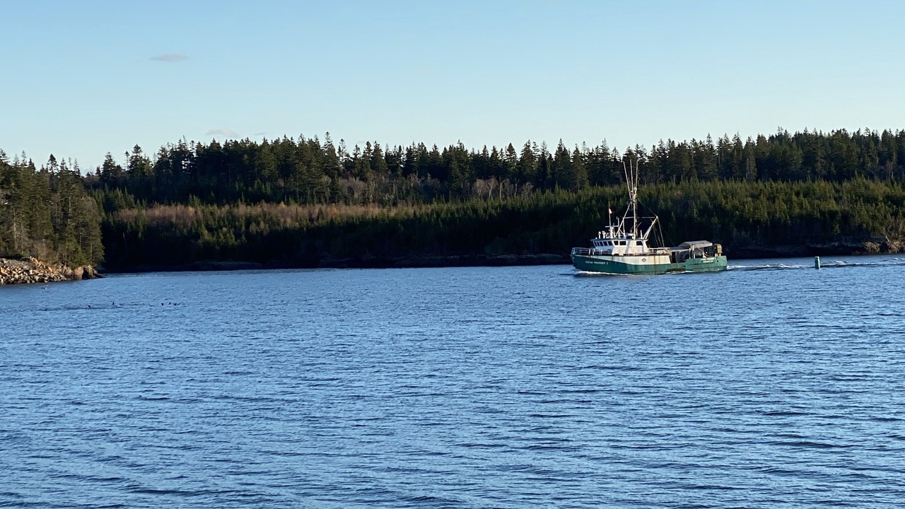 Photo of Others in Blacks Harbour
