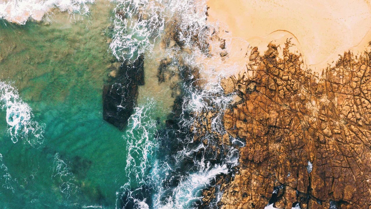 Photo of Others in Avoca Beach