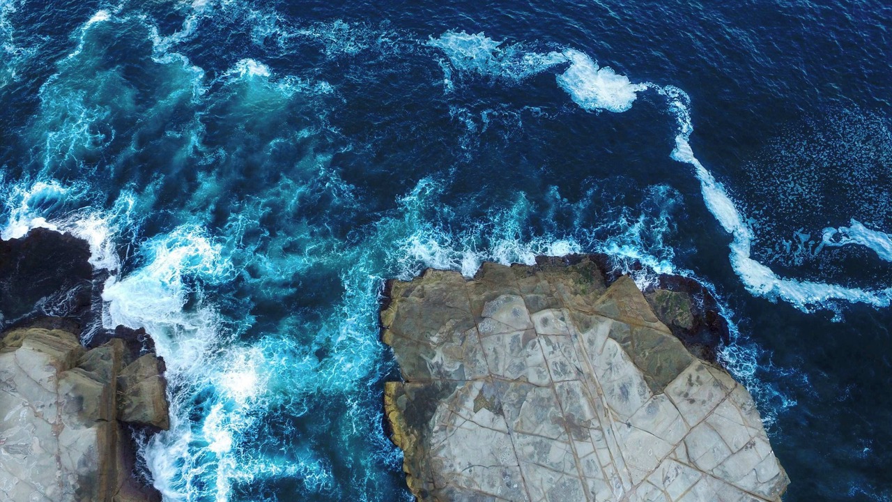 Photo of Others in Avoca Beach