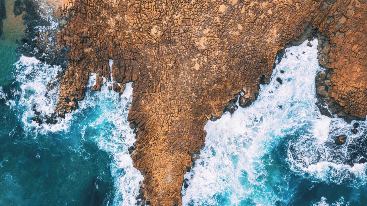 Photo of Others in Avoca Beach