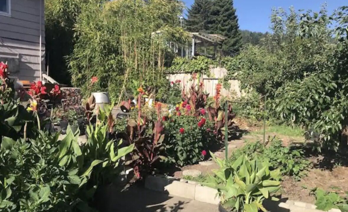 Photo of Outdoor in Arcata