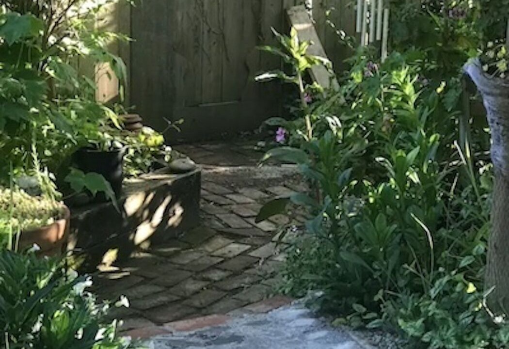 Photo of Outdoor in Arcata