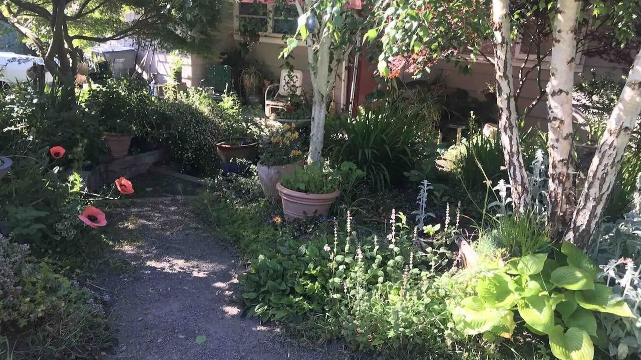 Photo of Outdoor in Arcata