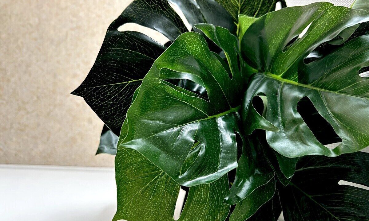 Photo of Others in Courlancy