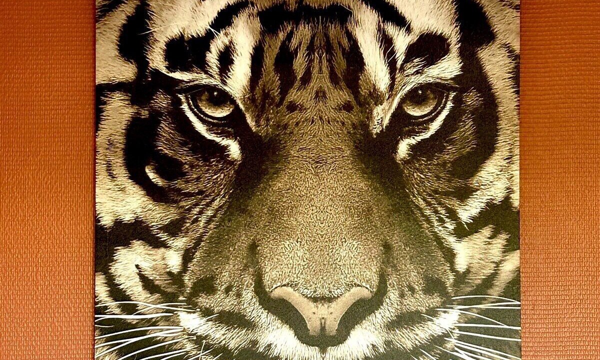 Photo of Others in Courlancy