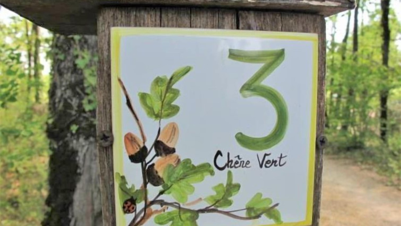 Photo of Others in Loupiac