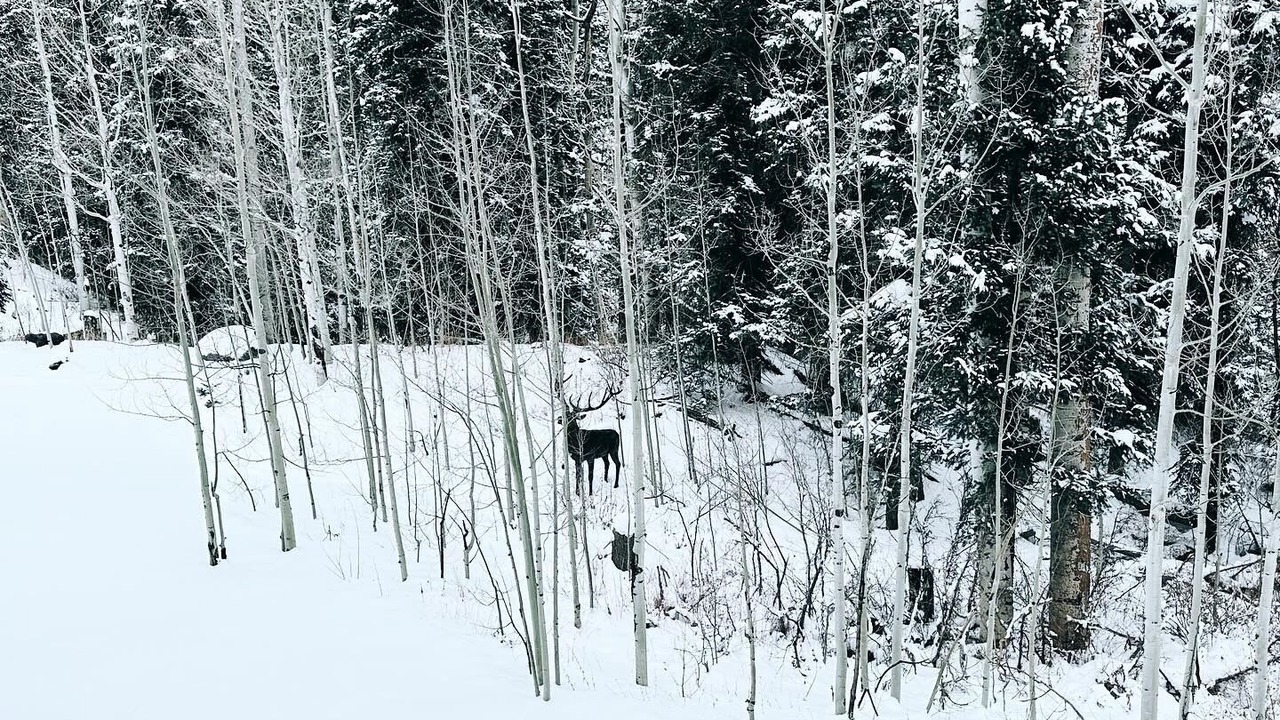 Photo of Others in Purgatory