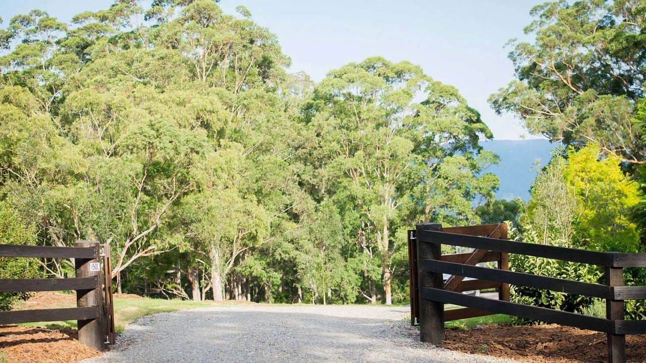 Photo of Outdoor in Kangaroo Valley