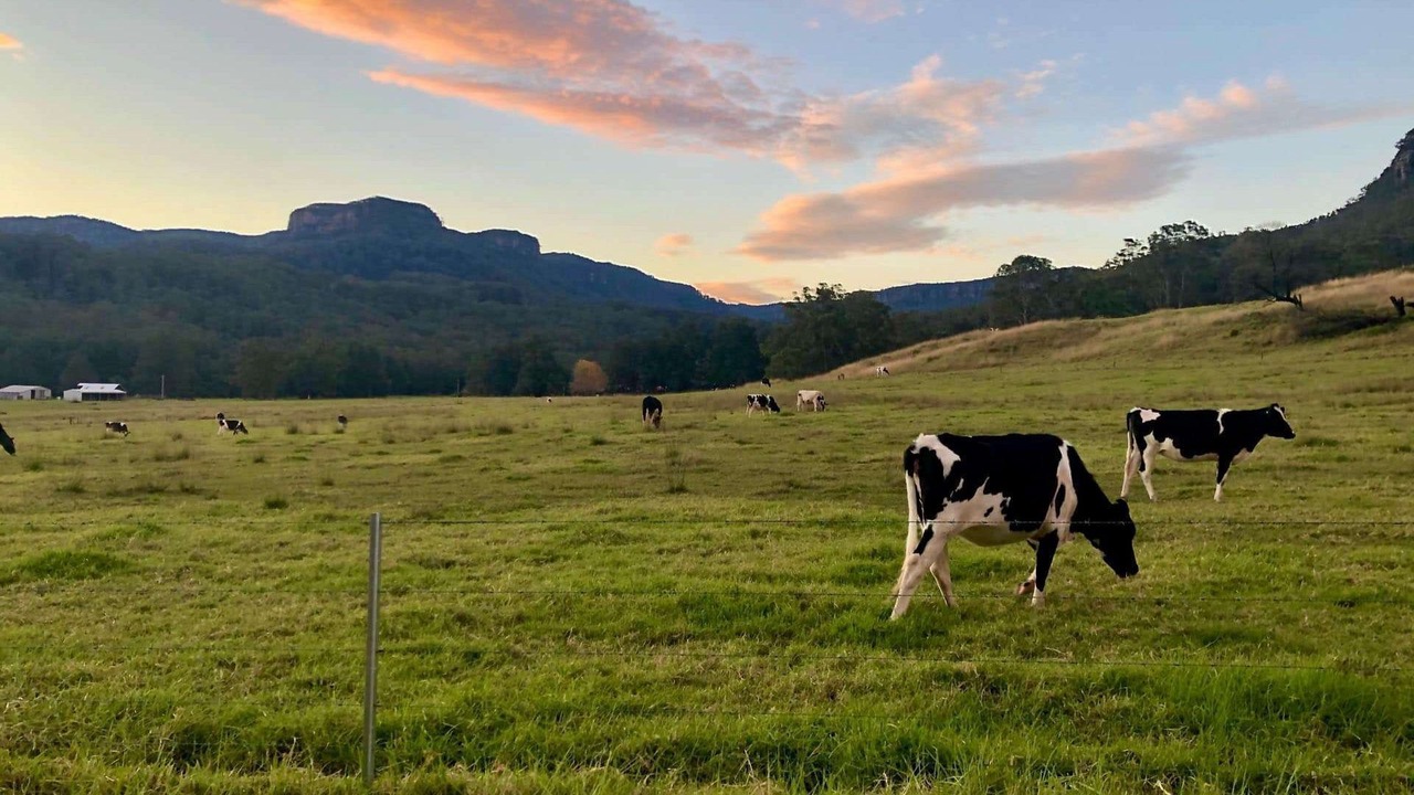 Photo of Others in Barrengarry