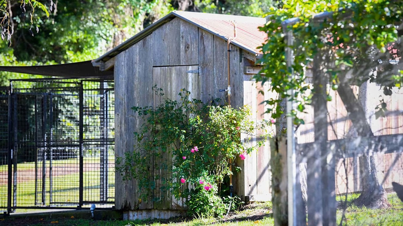 Photo of Outdoor in Bellawongarah