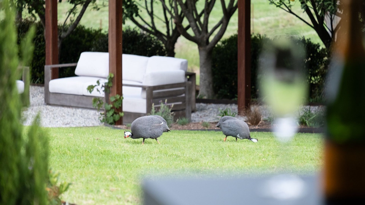 Photo of Outdoor in Barrengarry