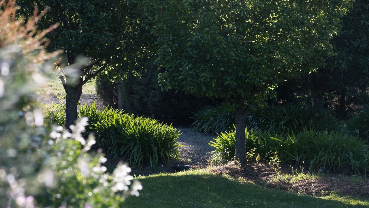 Photo of Outdoor in Barrengarry