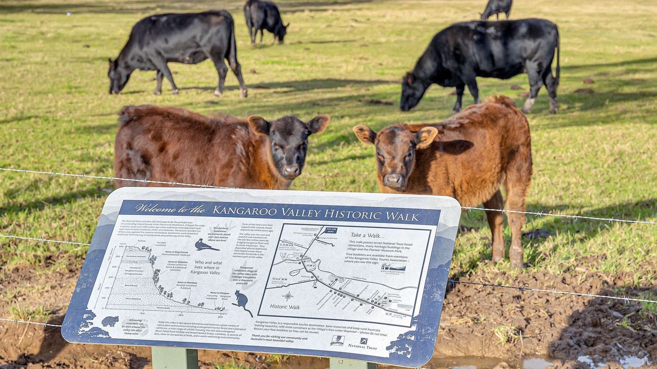 Photo of Others in Barrengarry