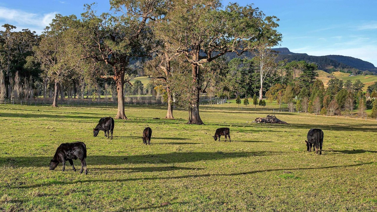 Photo of Others in Barrengarry
