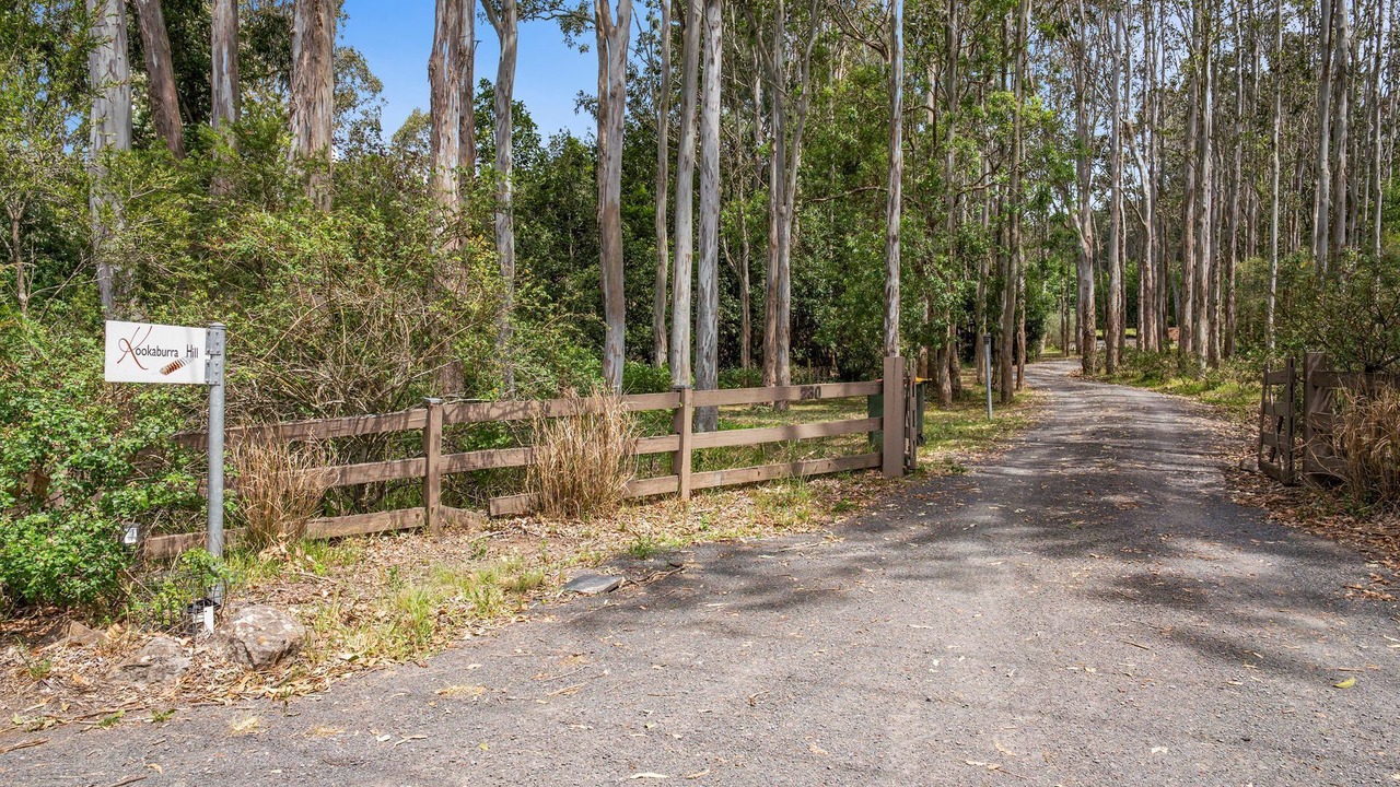 Photo of Others in Kangaroo Valley