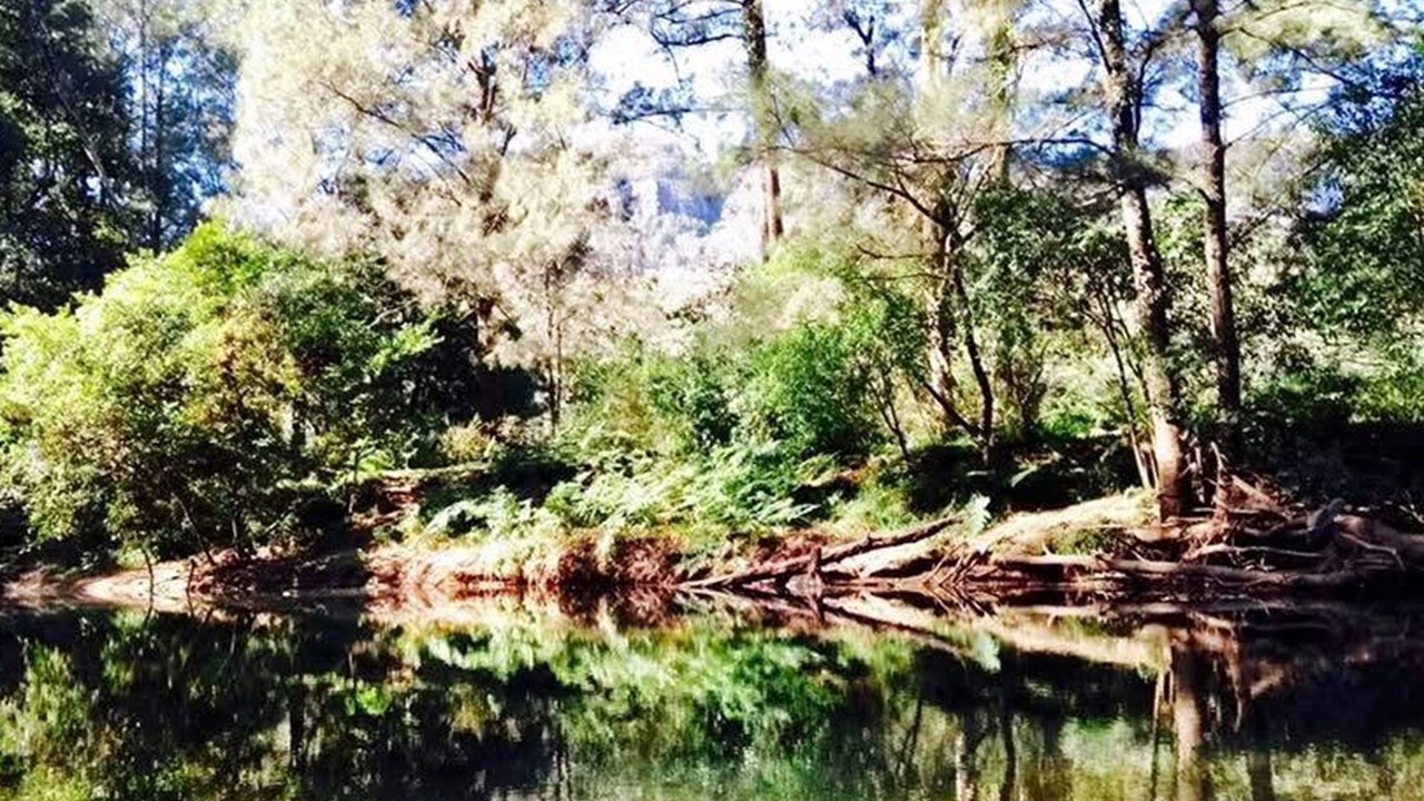 Photo of Others in Barrengarry