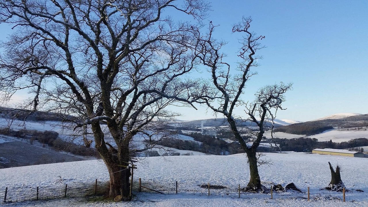 Photo of Outdoor in Keith