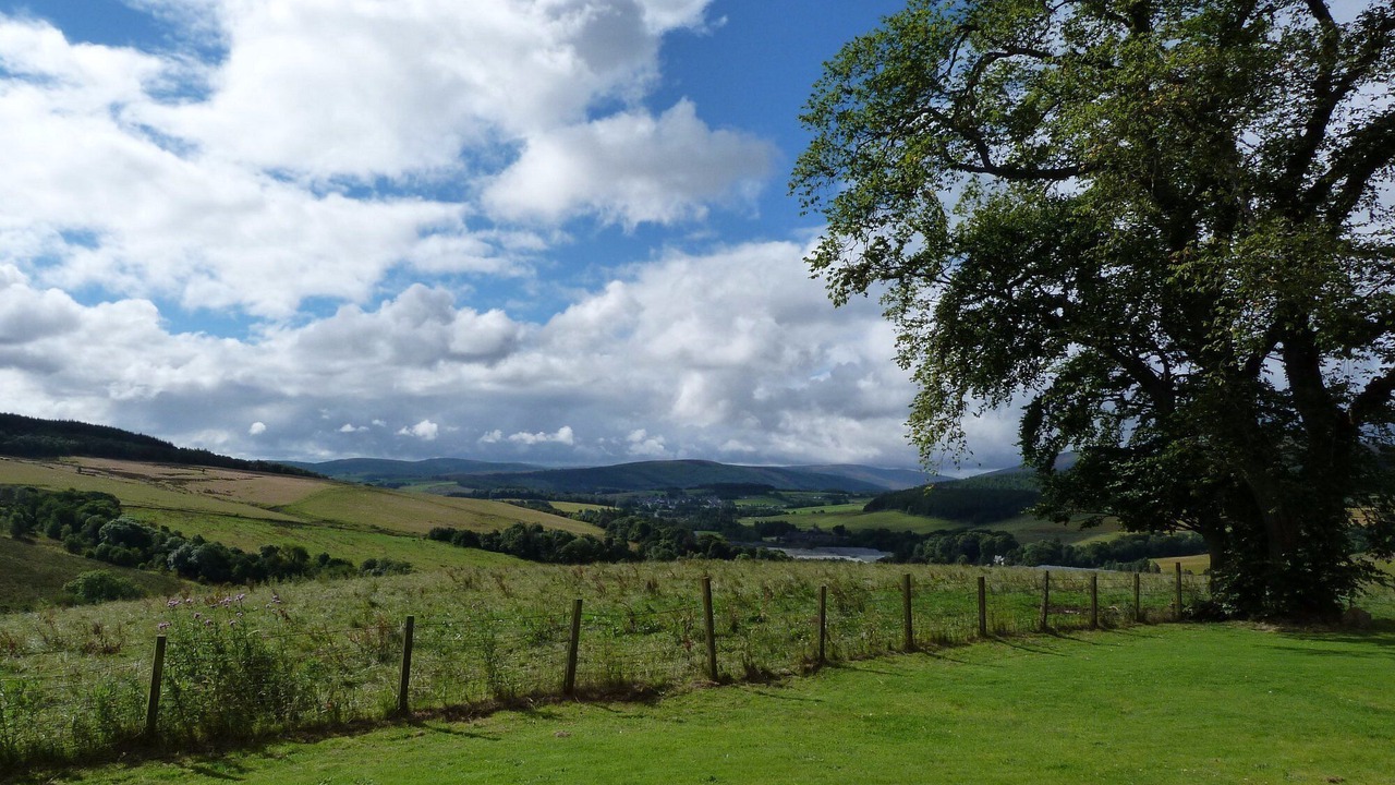 Photo of Others in Keith