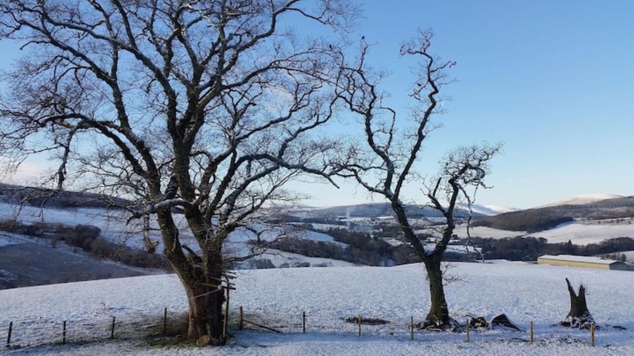 Photo of Outdoor in Keith