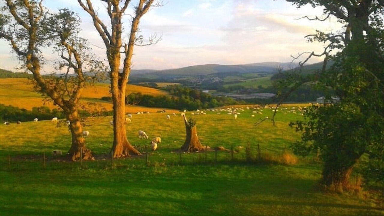 Photo of Outdoor in Keith