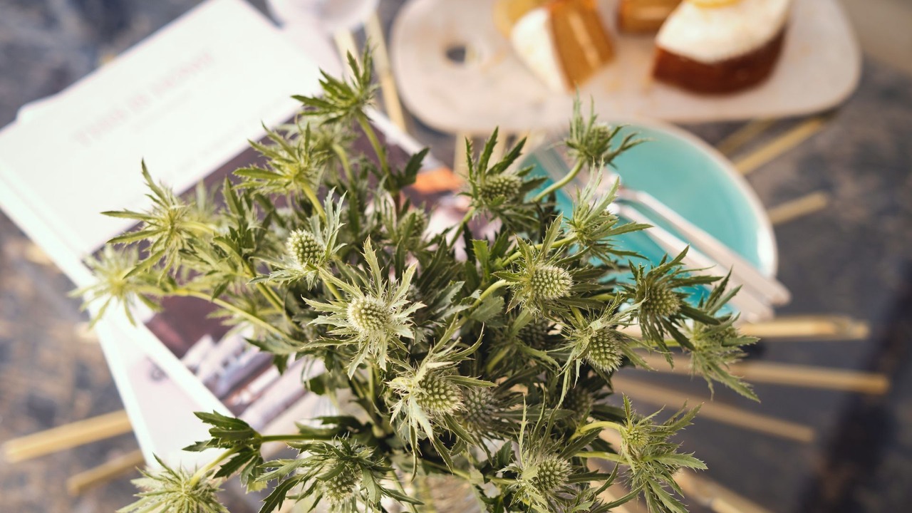 Photo of Others in Portloe