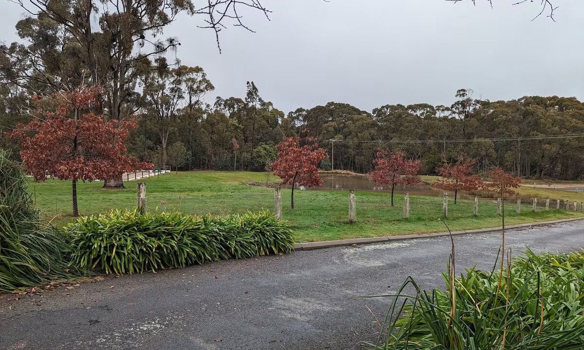 Photo of Outdoor in Beechworth
