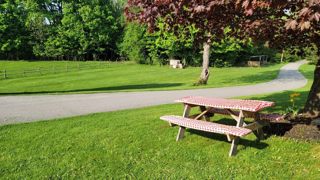 Photo of Outdoor in Oro-Medonte